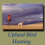 Upland hunting