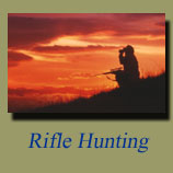Rifle Hunting