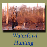 Waterfowl hunting